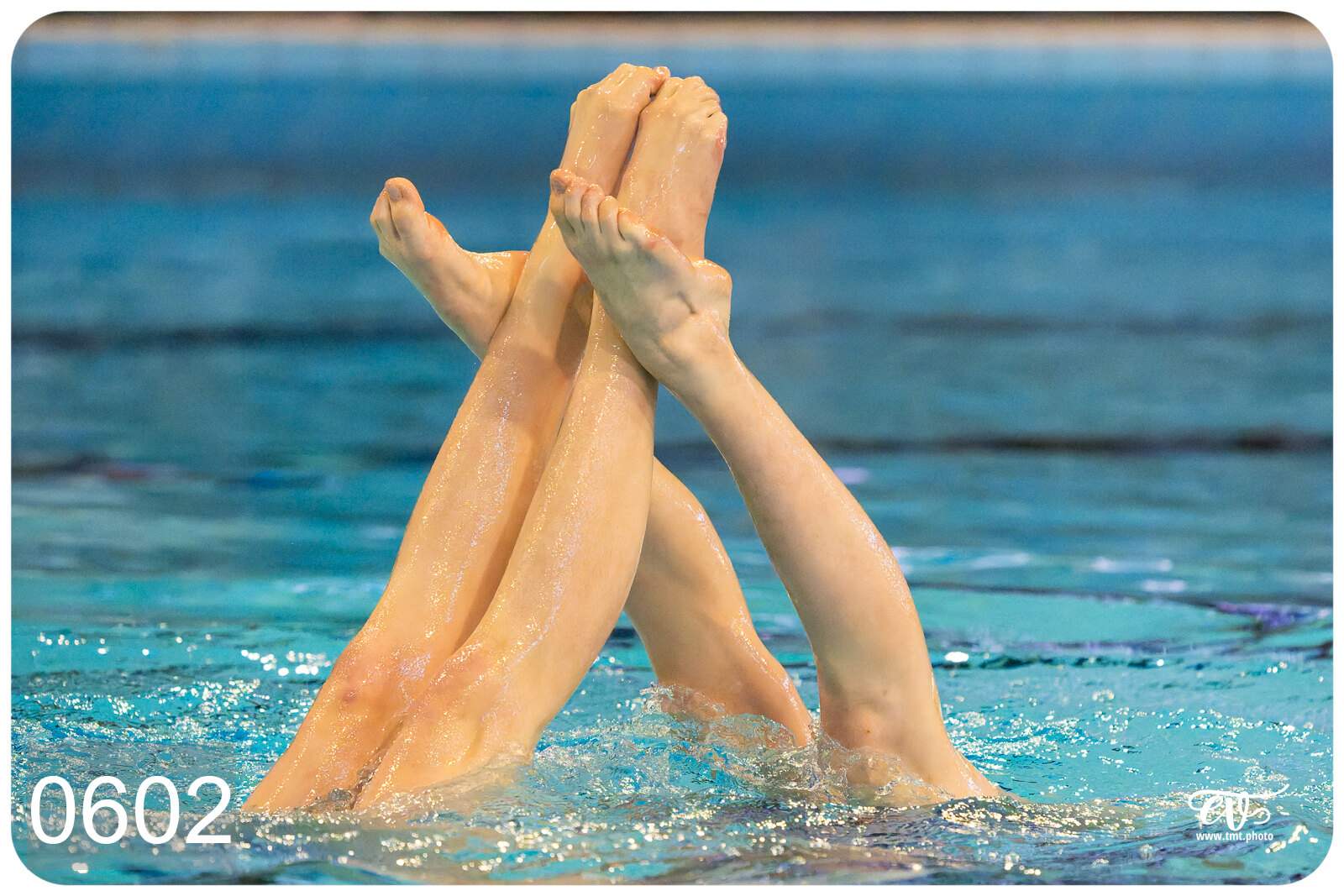 CHAMPIONNAT DE FRANCE DE NATATiON ARTISTIQUE N1 & ELITE 2026